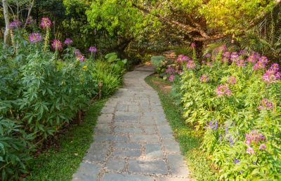 Restore The Aesthetic of Your Flagstone Walkway!